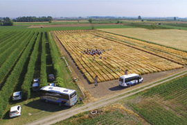 The fund ICF Capital Expansió II invests  3 million euros in Semillas Batlle