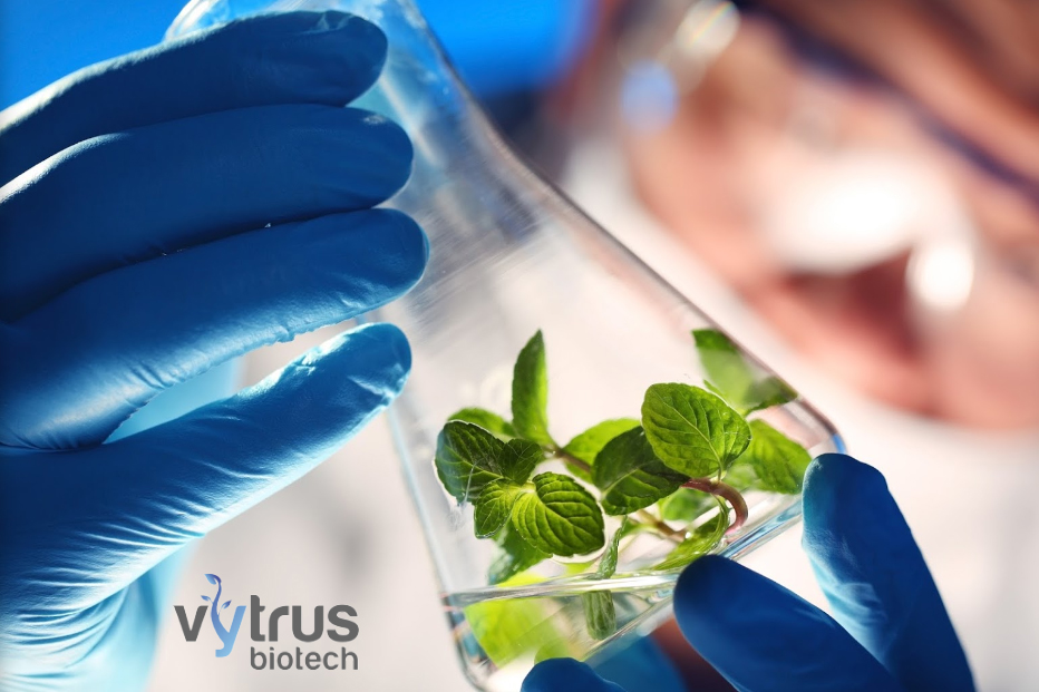El fons ICF Venture Tech II inverteix 0,5M€  a la biotecnològica Vytrus Biotech